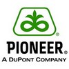 pioneer